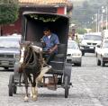 Horse and buggy and cell phone.jpg